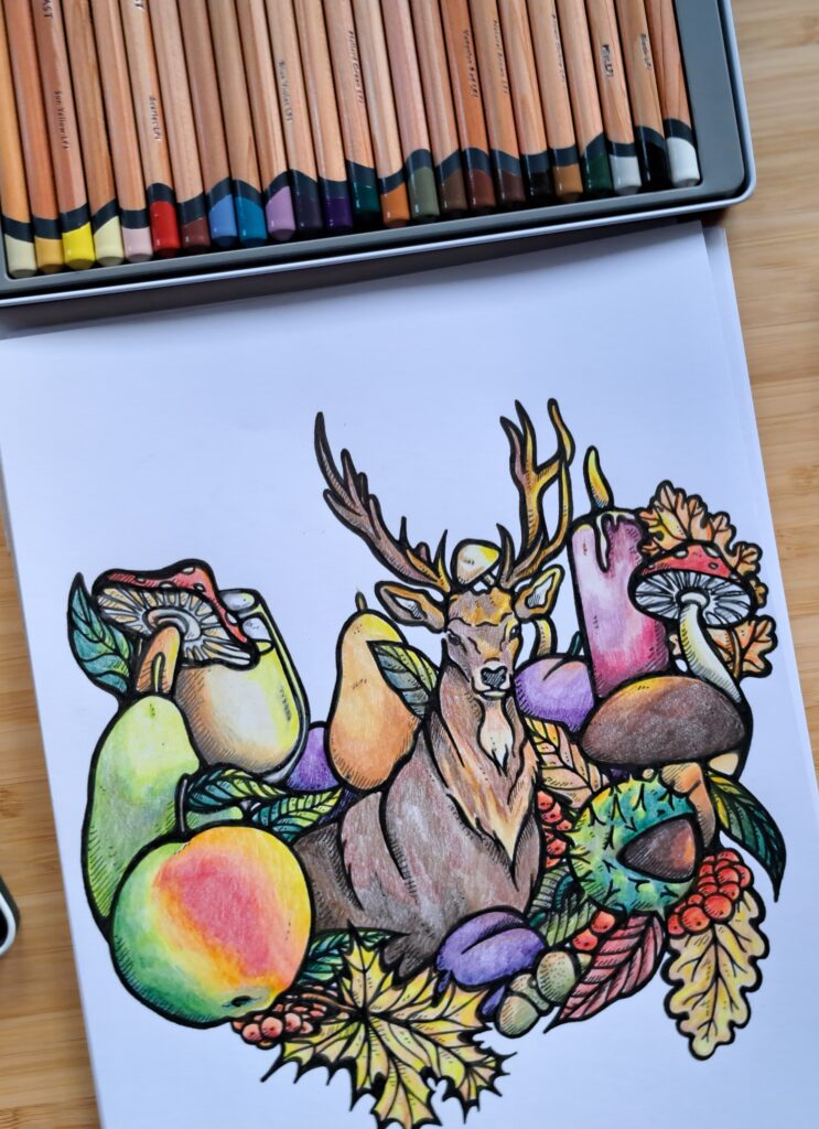 color pencil illustration by Roma Kończak